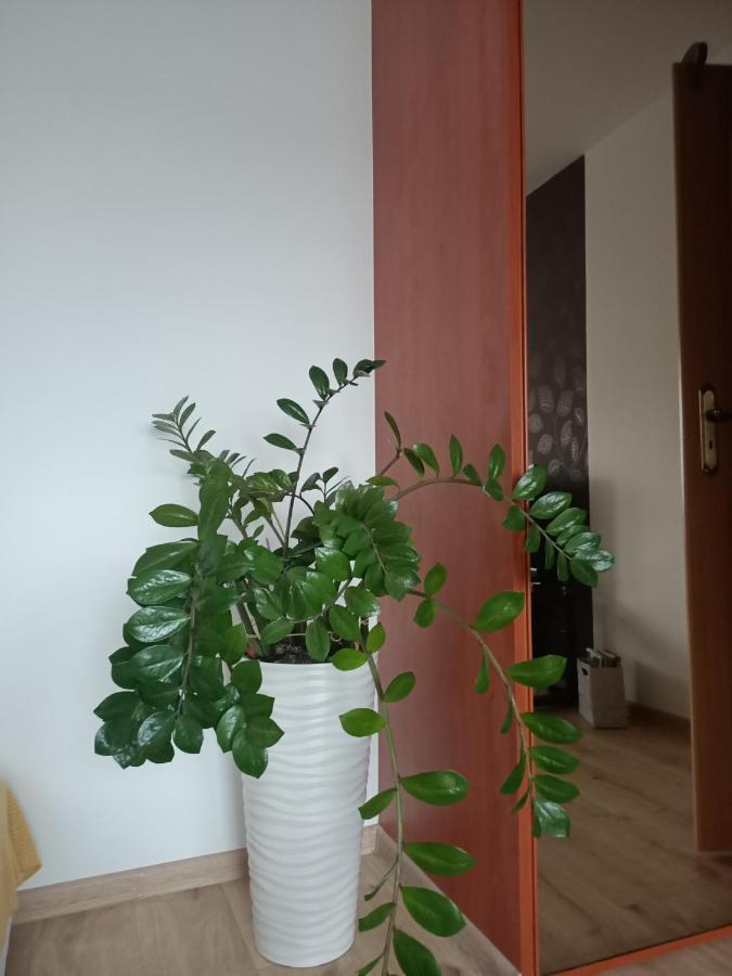 Pomaranczowa Apartment Szczecin Eksteriør bilde